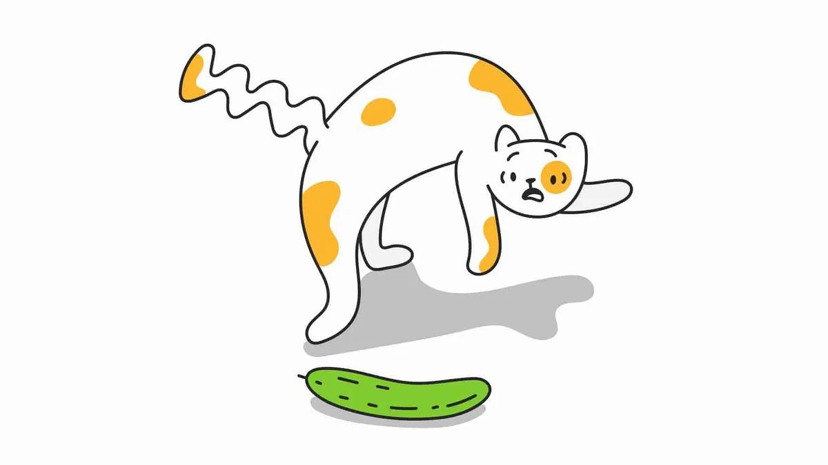 Paw Catch